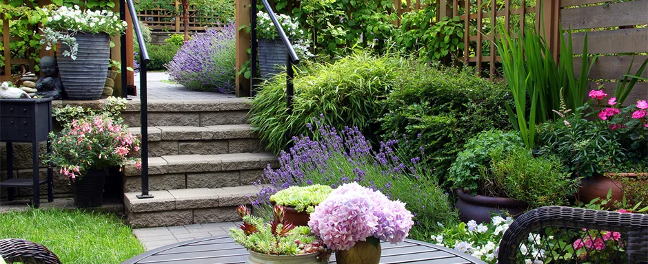 Get Your Yard Ready for Summer